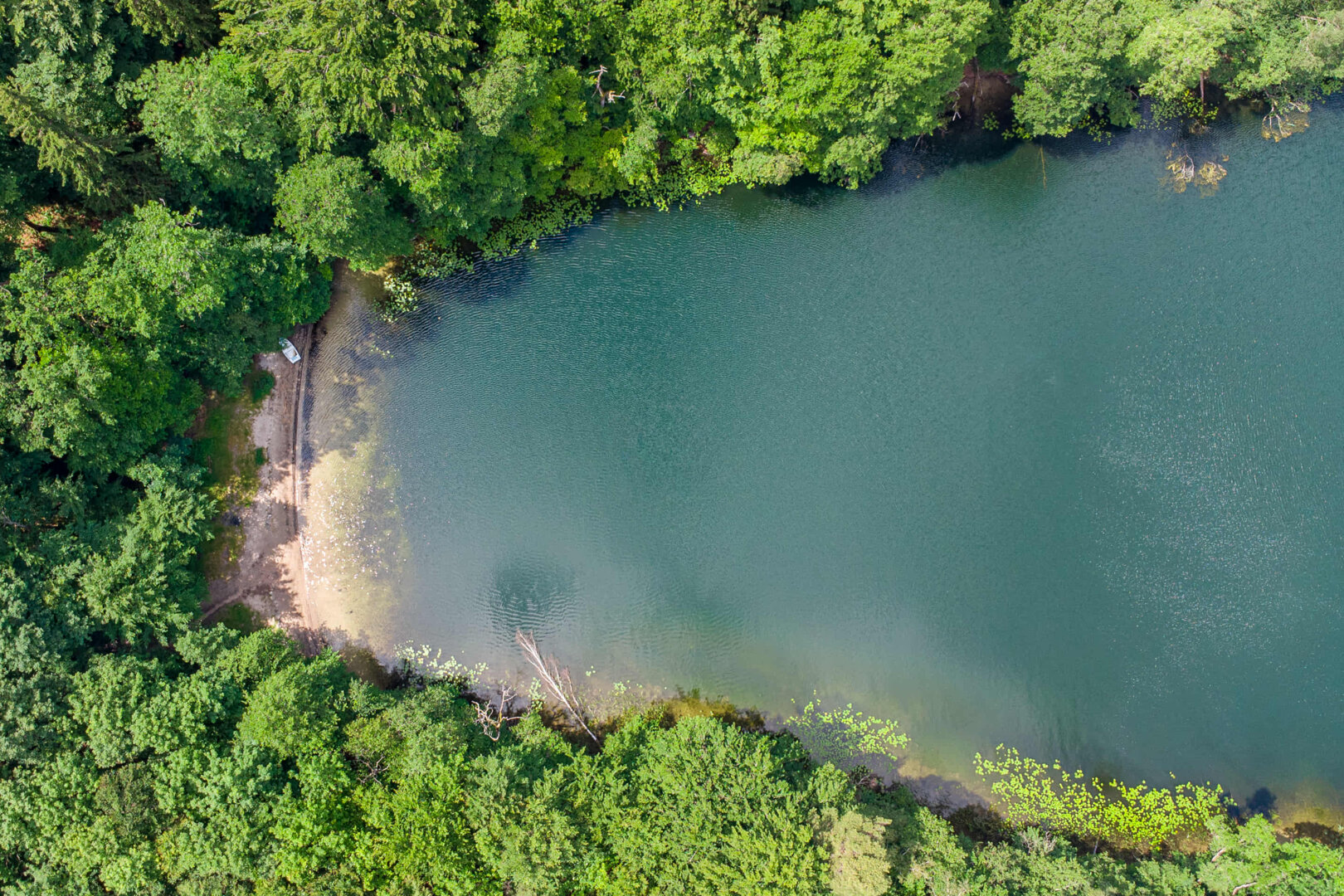 m-doradcy Marek Bucholc - 23